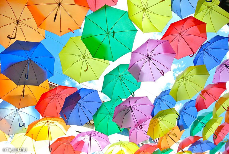世界一美しい商店街 カラフルな傘のお祭り アンブレラ スカイ プロジェクト Worldtravel